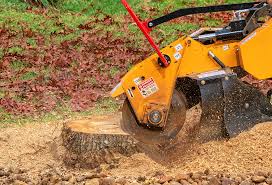 Best Lawn Maintenance Plans  in New Haven, CT